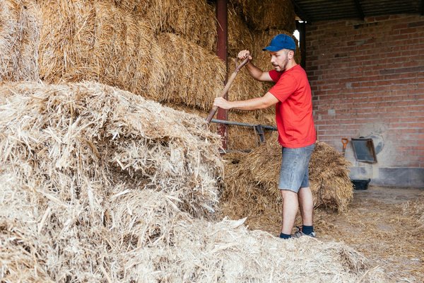 What Are the Best Approaches for UK Fashion Brands to Integrate AI for Trend Forecasting?